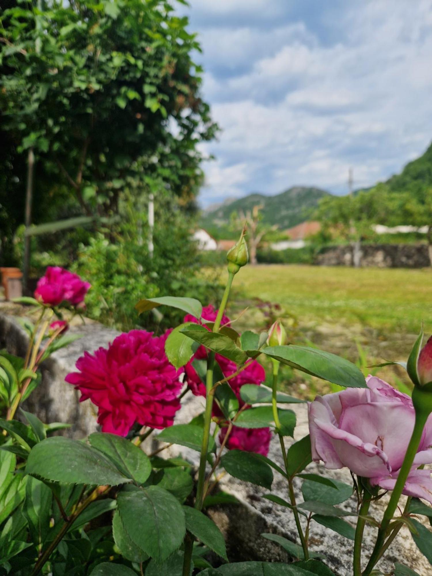 Ivan'S Holiday Home Virpazar Luaran gambar
